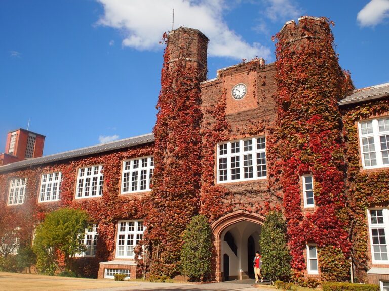 Sejarah panjang UM dimulai dari berdirinya Sekolah Tinggi Keguruan dan Ilmu Pendidikan (STKIP) Malang pada tahun 1954. Pada tahun 1964, STKIP Malang berganti nama menjadi IKIP Malang dan kemudian pada tahun 1999 menjadi Universitas Negeri Malang.