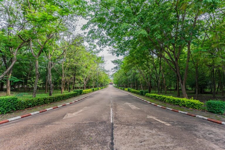 Peringkat Universitas Terbaik di Indonesia berdasarkan Prestasi dan Reputasi Akademik